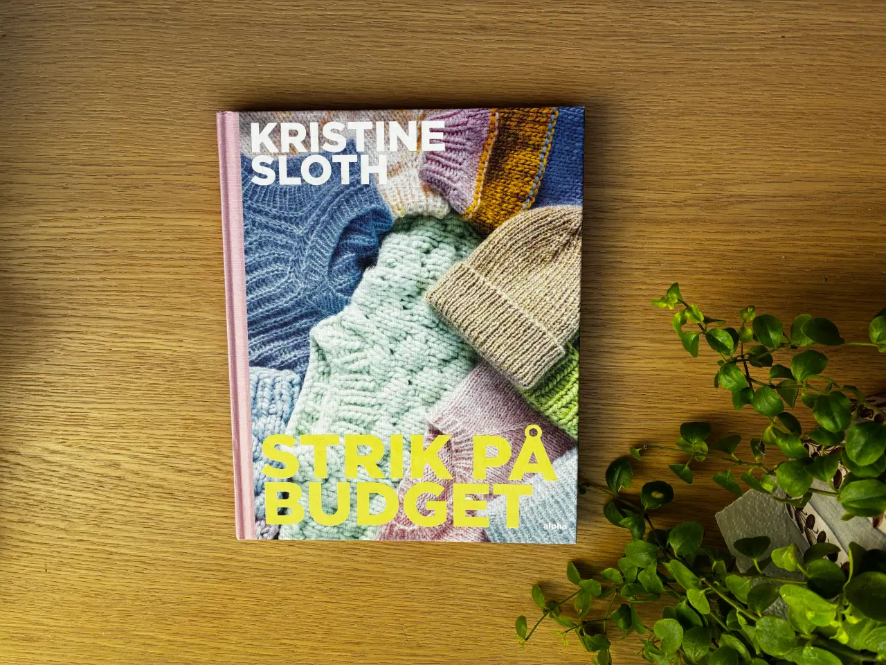 Billede 1 - STRIK PÅ BUDGET  af Kristine Sloth