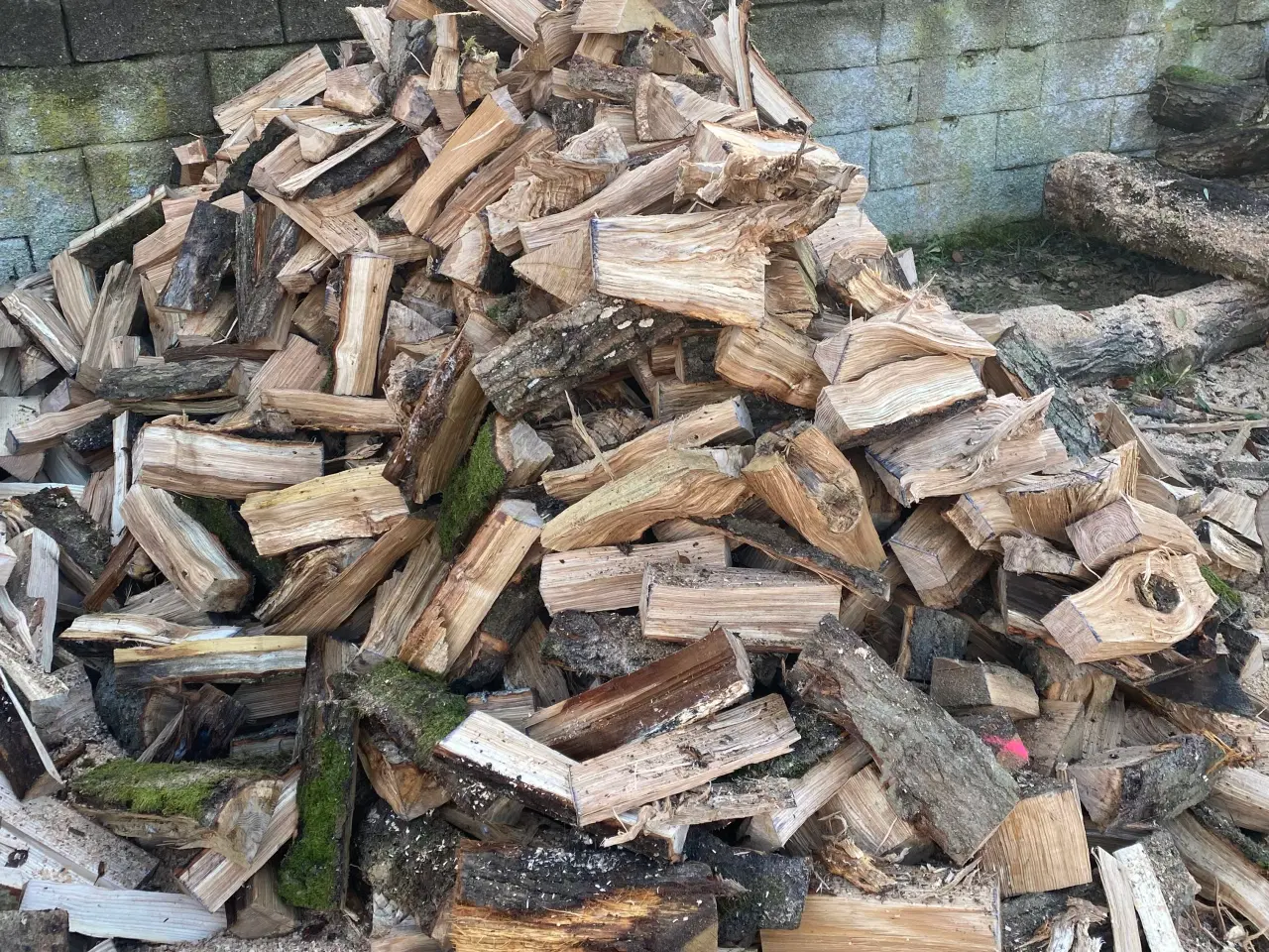 Billede 5 - Brænde Bøg og eg ny skovet