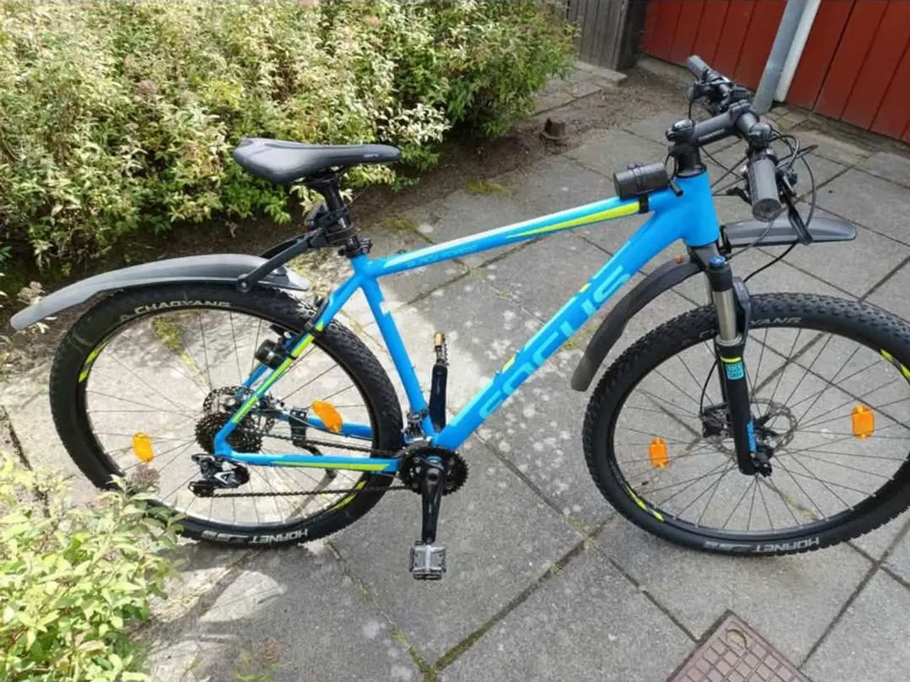 Billede 3 - Focus Mbk Bike 