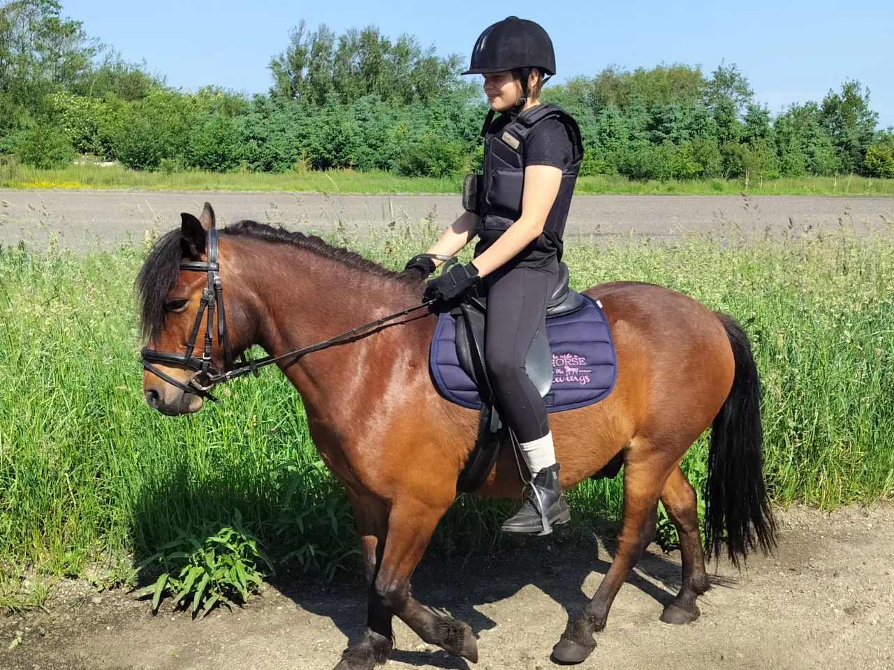 Billede 2 - 3' pony vallak