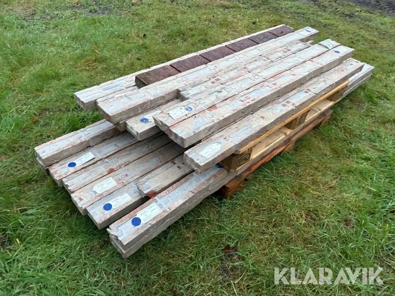 Billede 4 - Overlæggere 21 styk