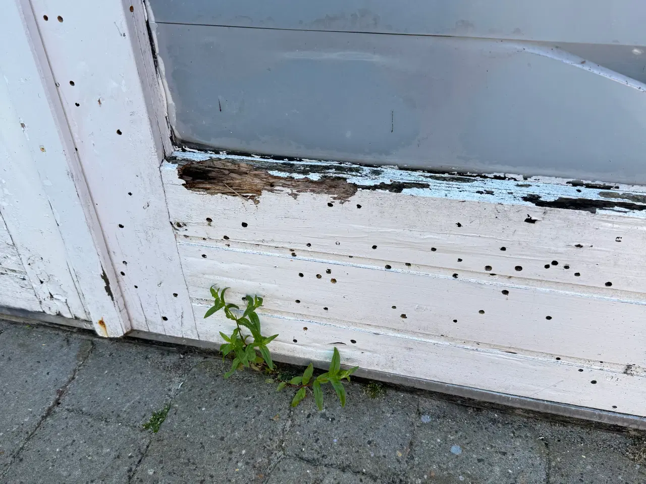 Billede 3 - Dobbelt terrassedør