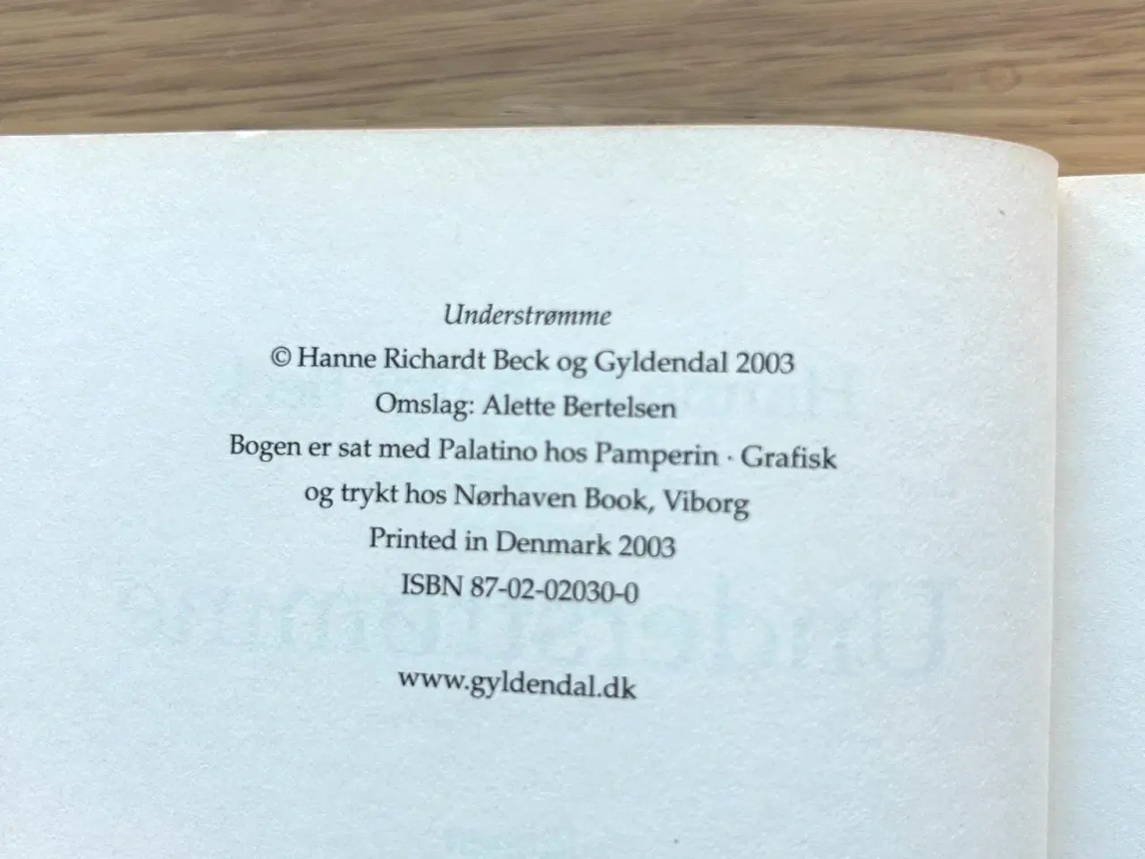 Billede 3 - Understrømme by Hanne Richardt Beck