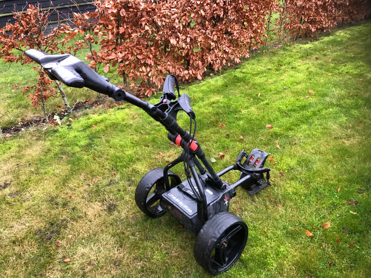 Billede 1 - BigMax Ryder El-Golfvogn