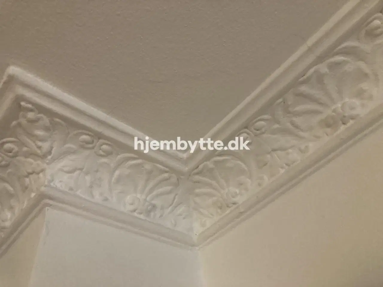 Billede 12 - Hjembytte - SofieBrahesAllé