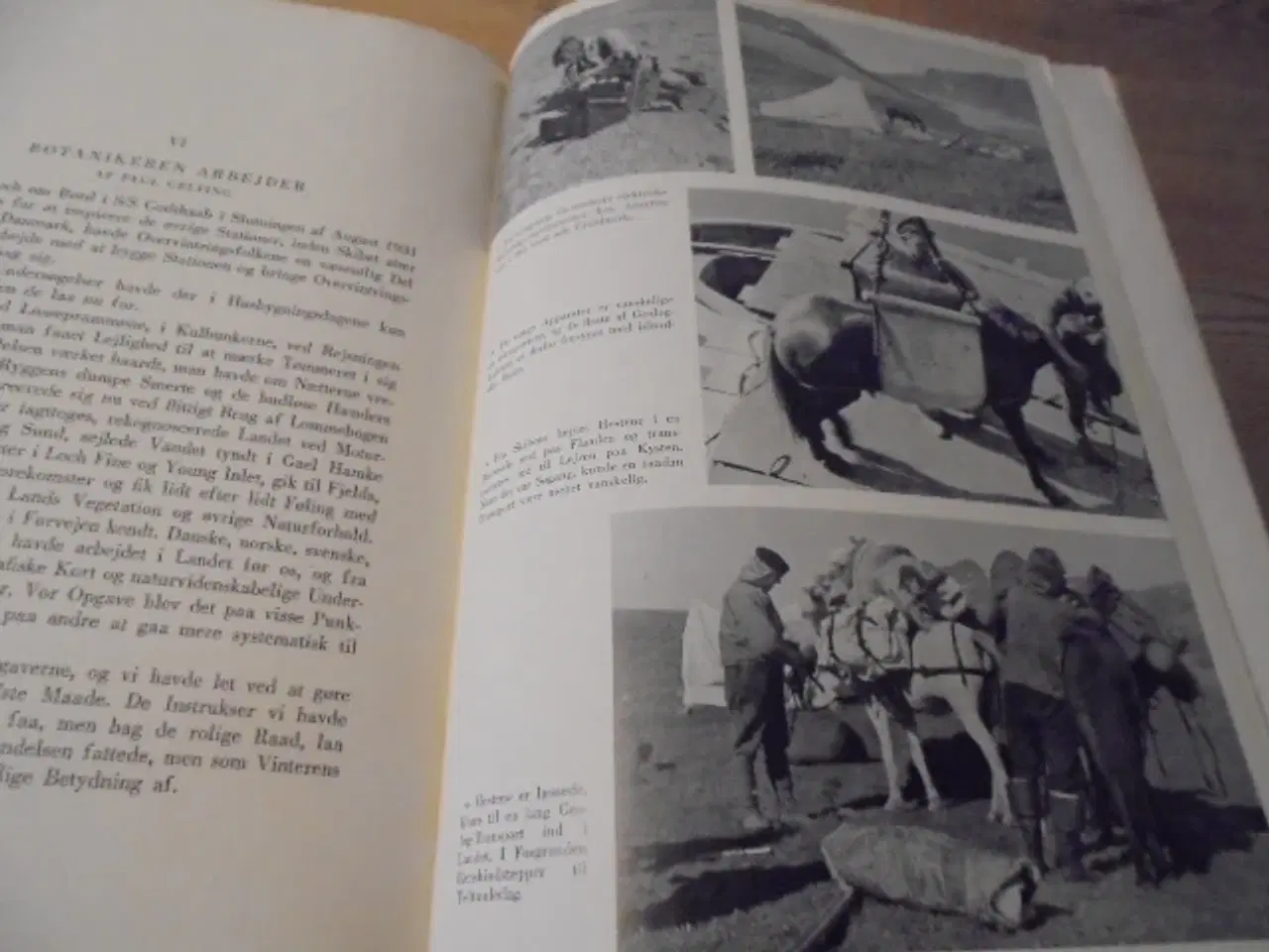 Billede 7 - Med treaars ekspeditionen til Chr. X’s Land  