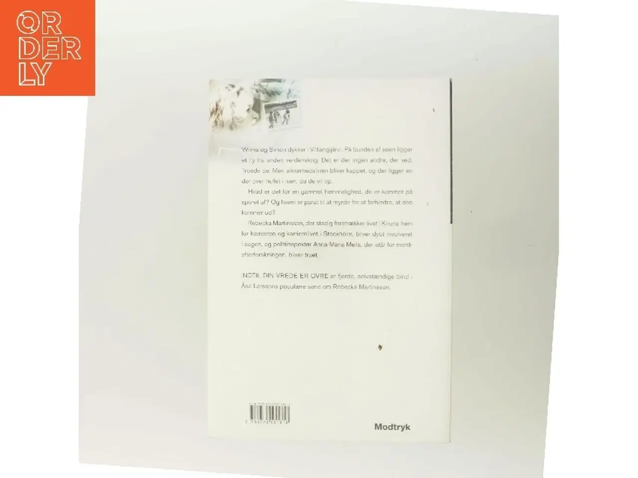 Billede 3 - Indtil din vrede er ovre af Åsa Larsson (Bog)