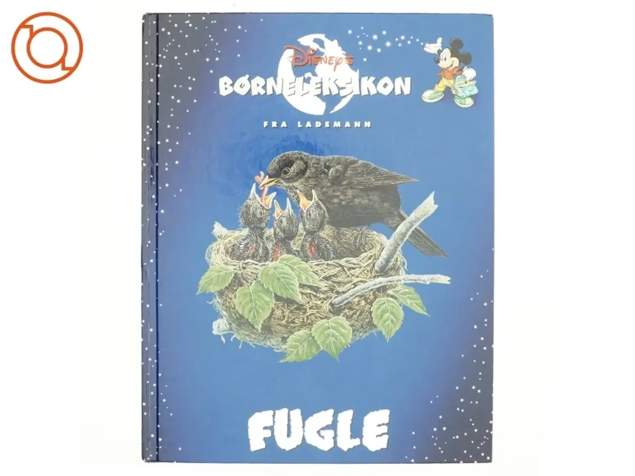 Billede 1 - Fugle af Jinny Johnson (Bog)