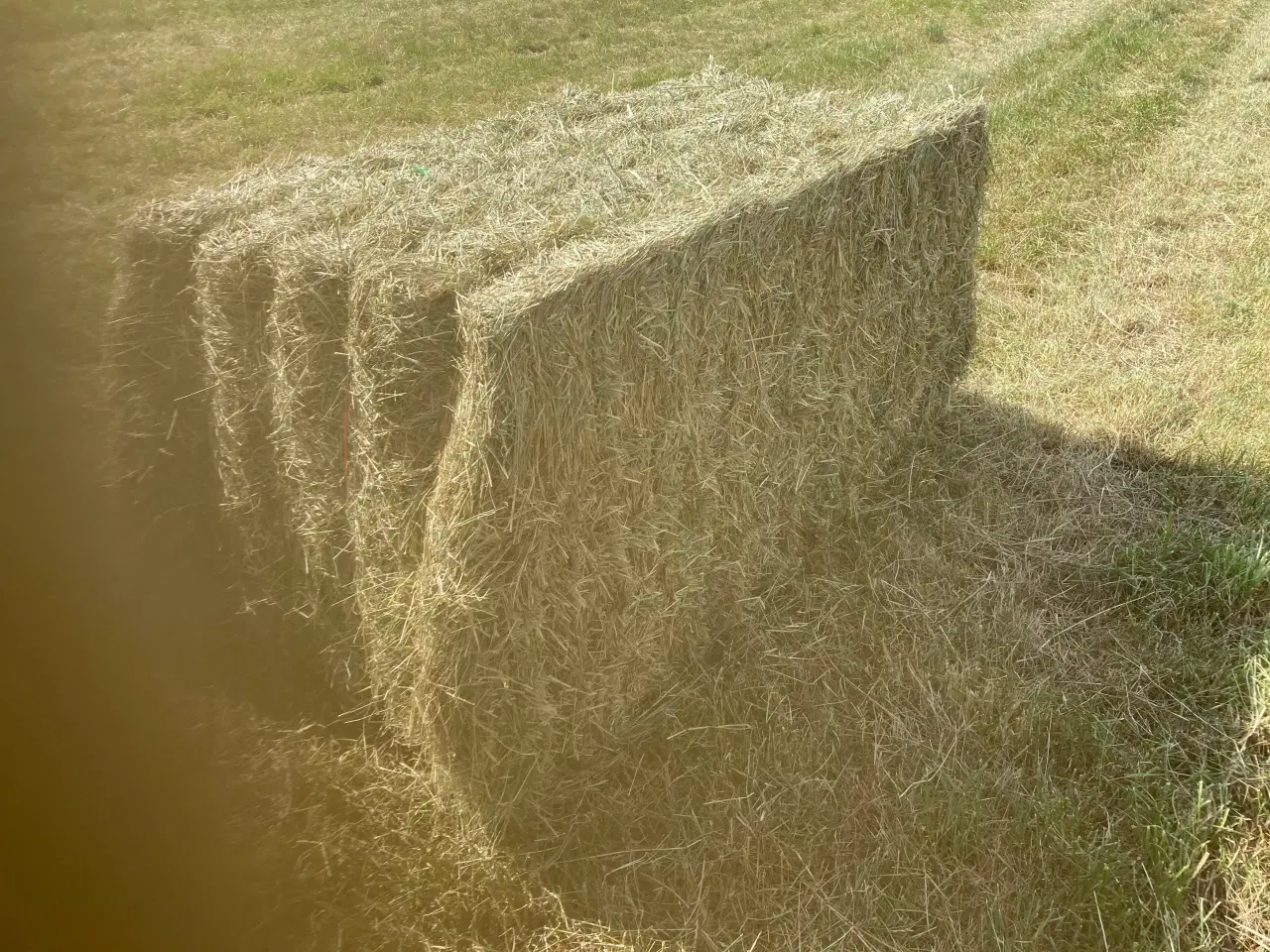 Billede 1 - Hø i minibig på Midtfyn.