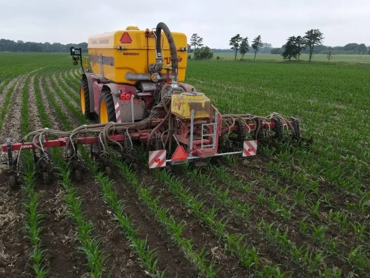 Billede 16 - - - - Evers Tribus renser SB 12- 150