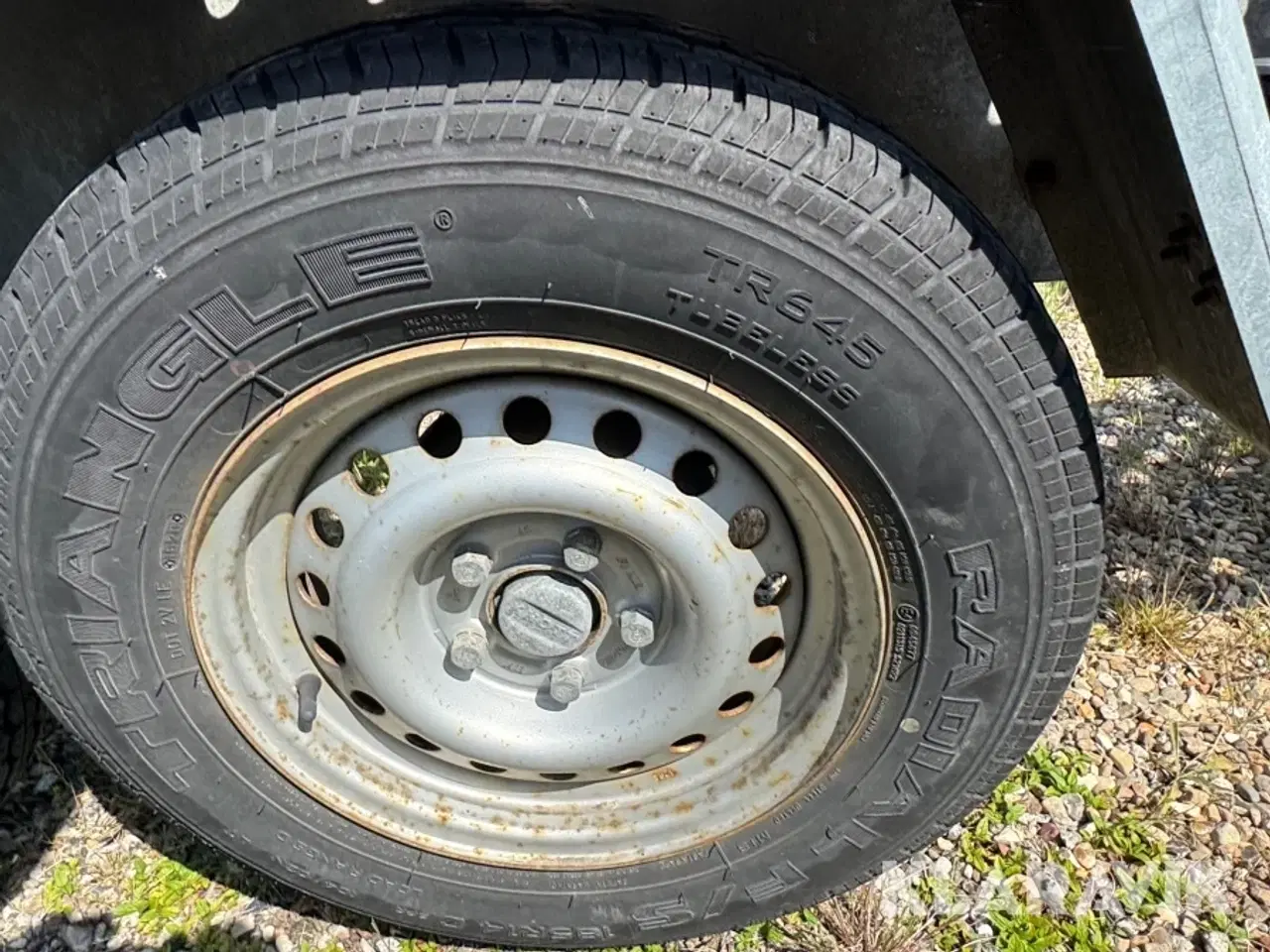 Billede 8 - Autotrailer GALA BBG Gata taurus