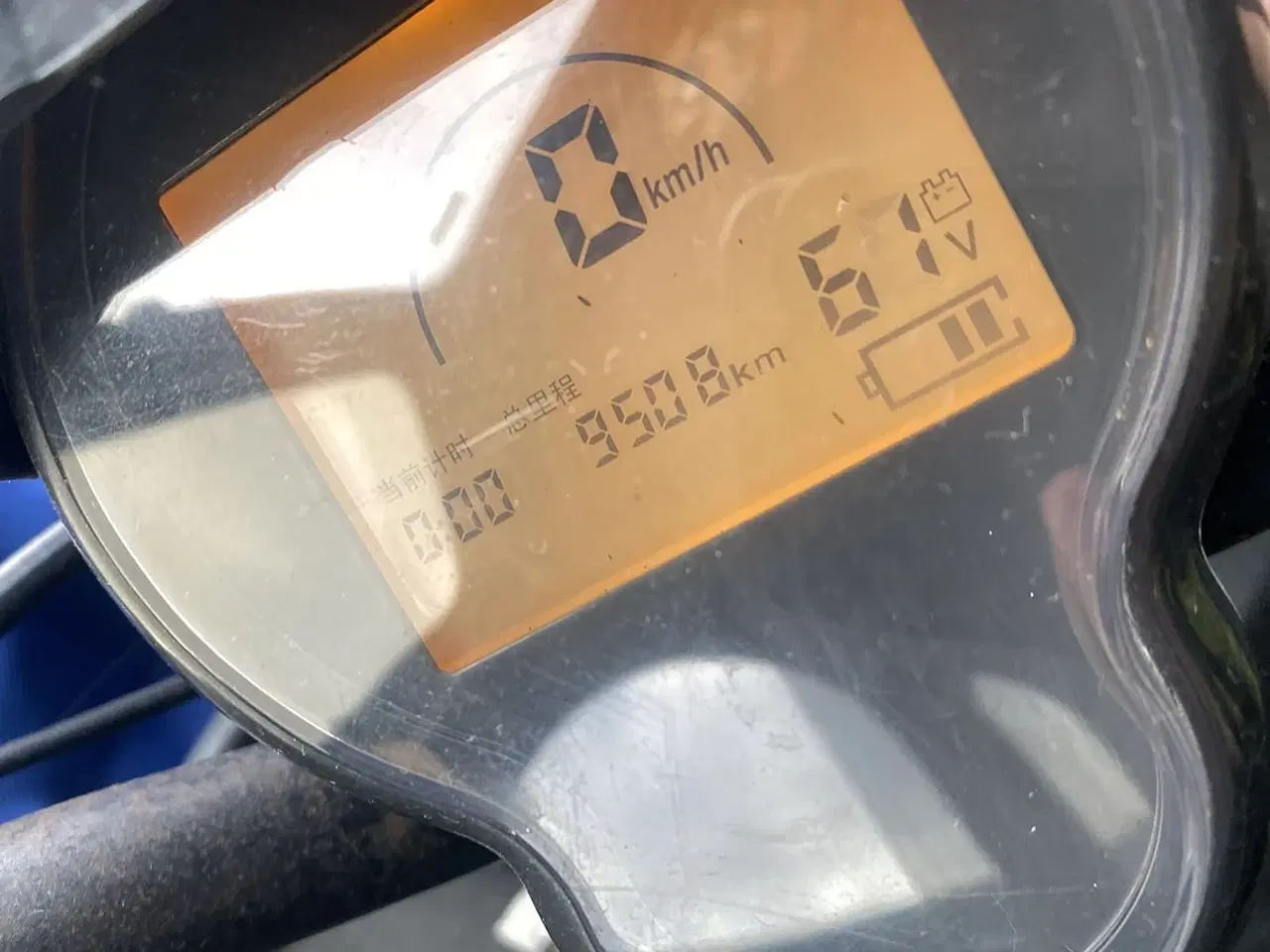 Billede 3 - Rex Cabino blå