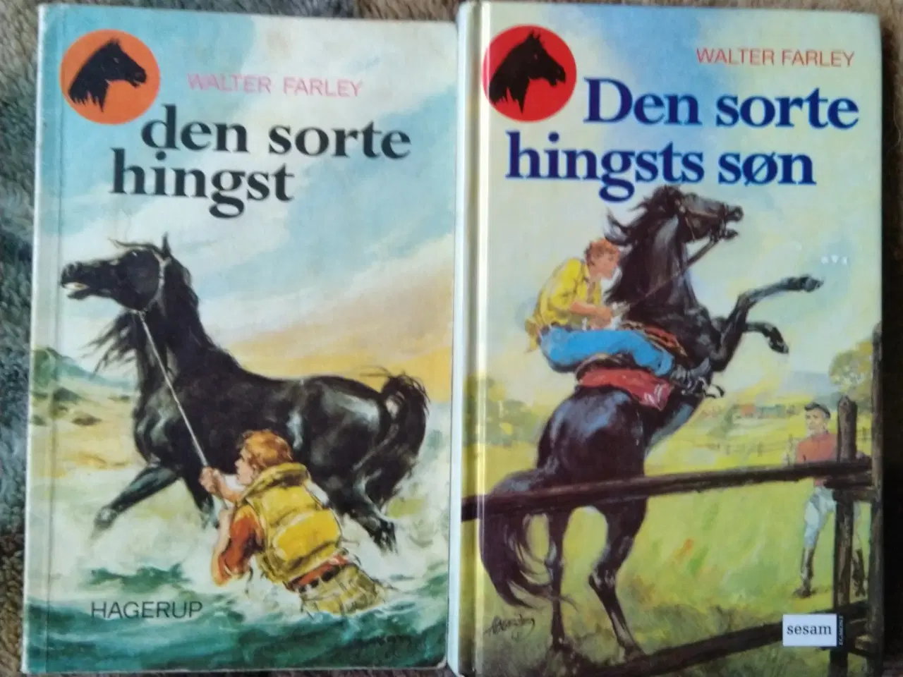 Billede 2 - Den sorte hingst