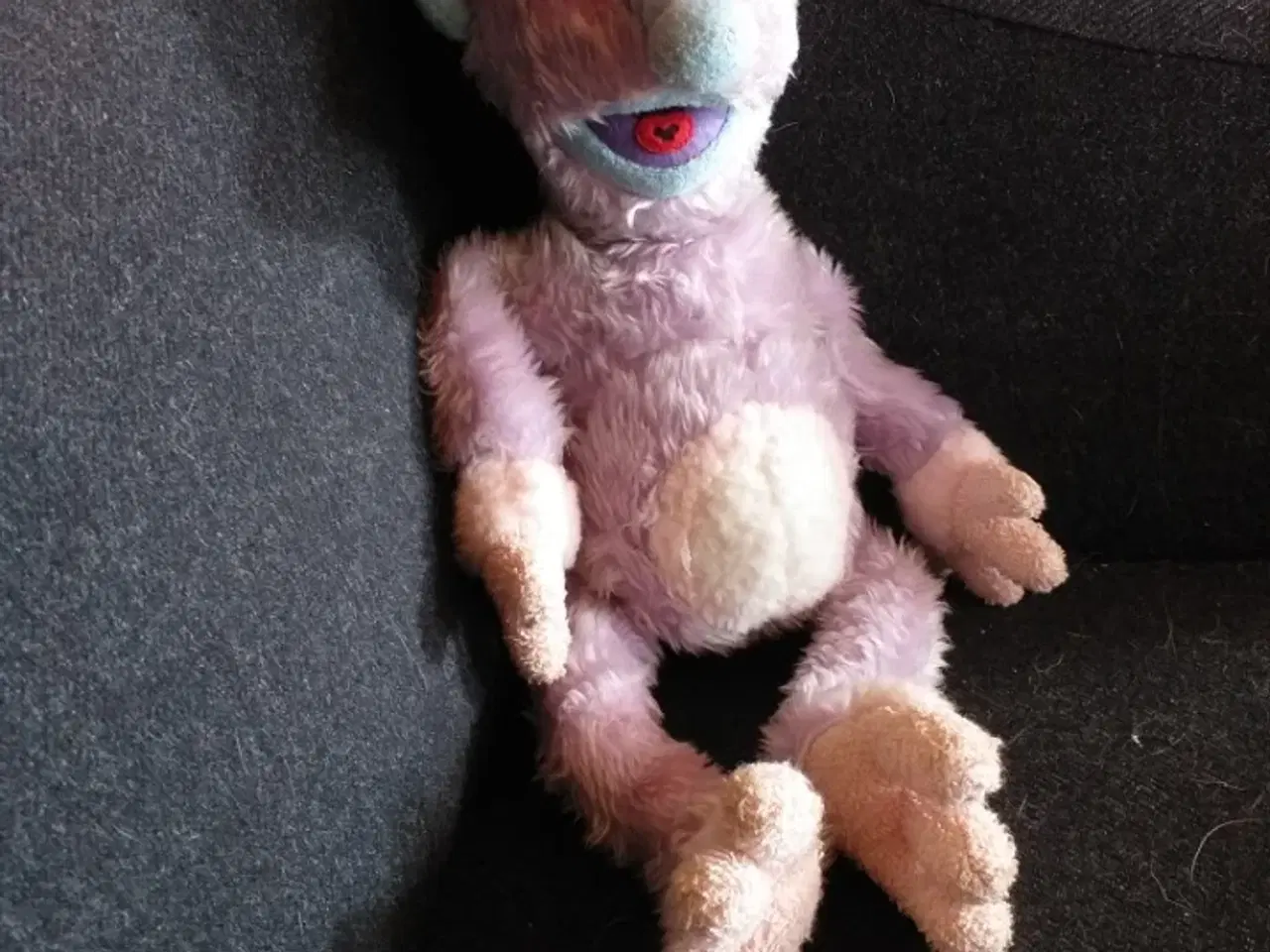 Billede 1 - Harry lille måler 48 cm