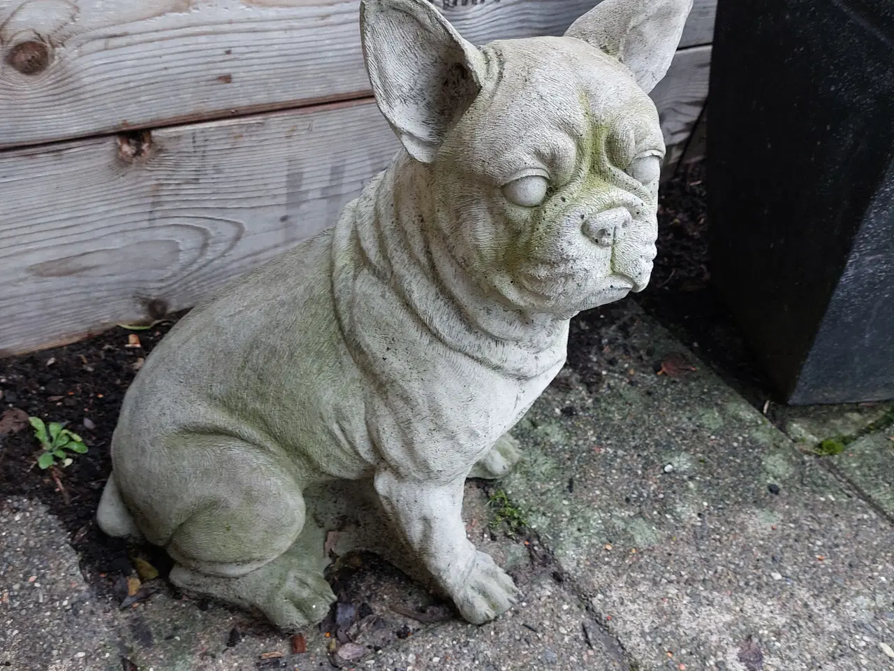 Billede 1 - Beton figur af Fransk bulldog 