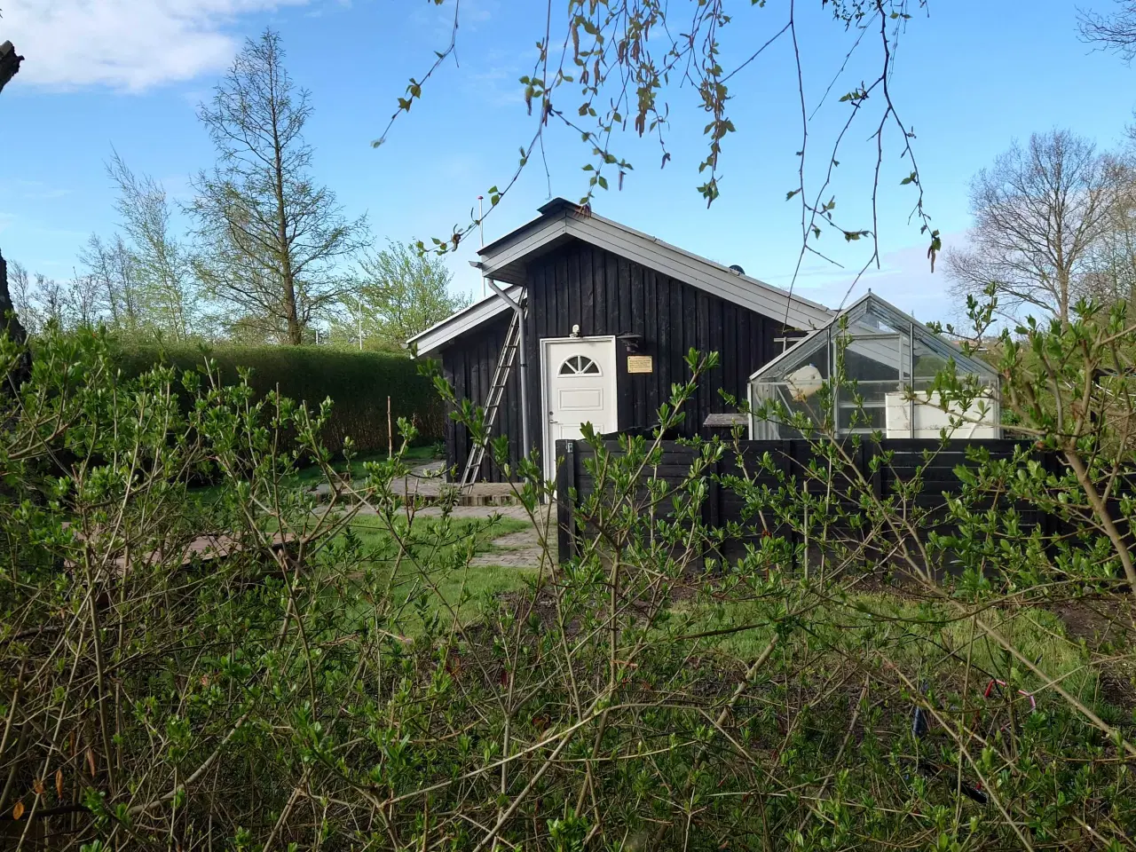 Billede 12 - Kolonihaven Aalborg til salg i draget 