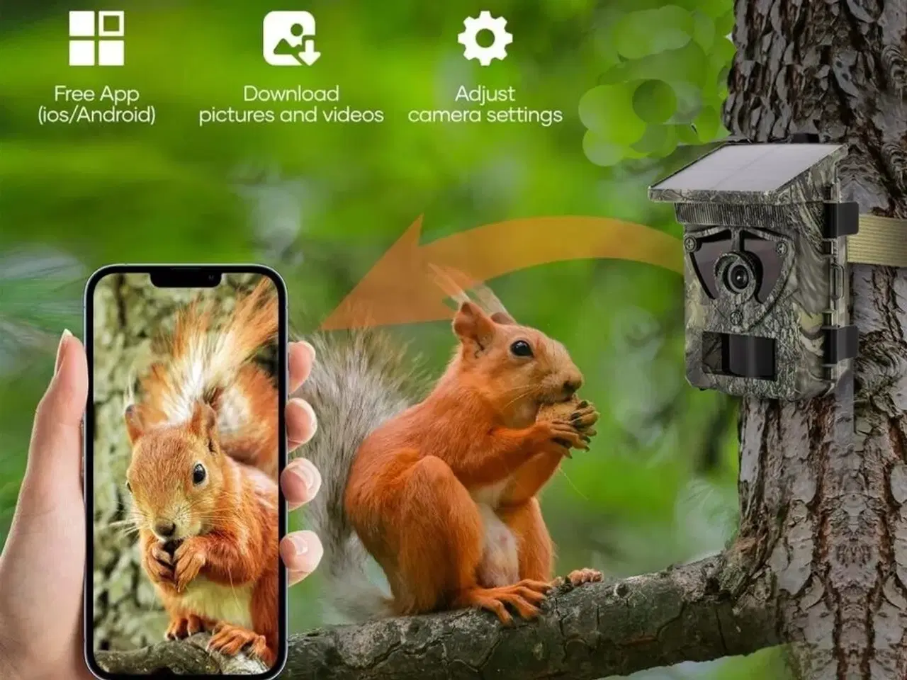 Billede 2 - Vildtkamera med solceller og 2" farveskærm.