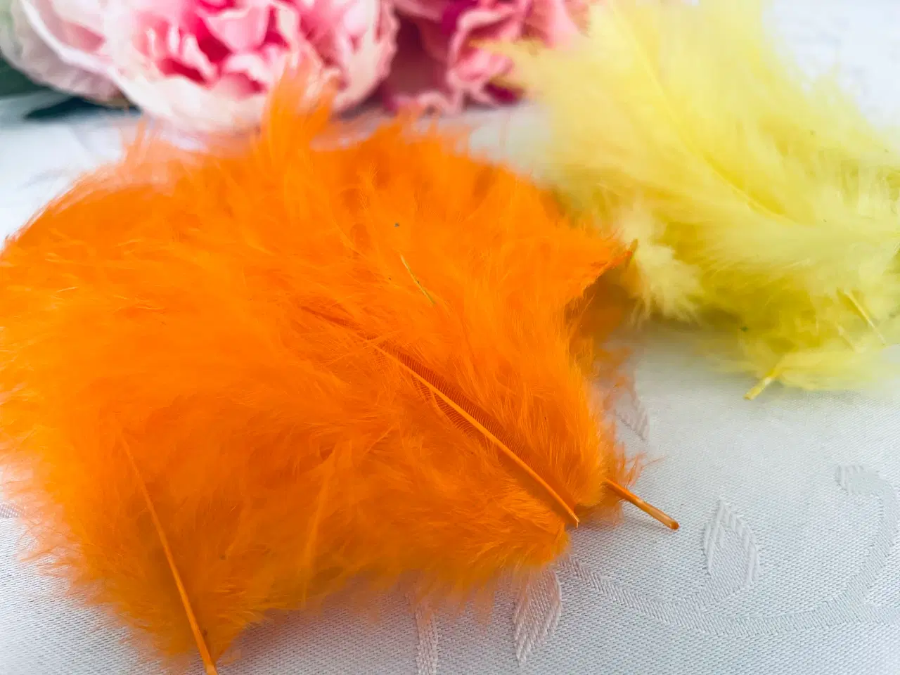 Billede 6 - Blandet fjer 