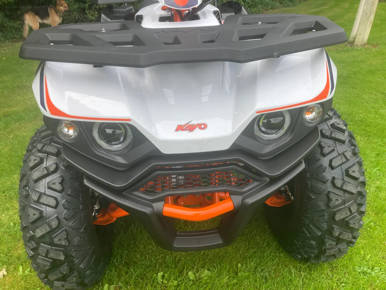 Billede 6 - ATV KAYO AU 180