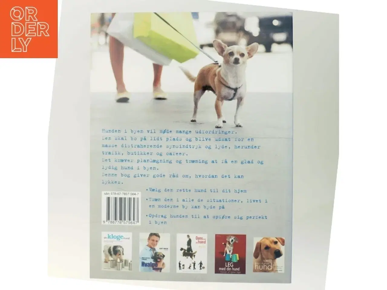 Billede 3 - Hund i byen : guide for hundeejere i byen af Sarah Whitehead (Bog)