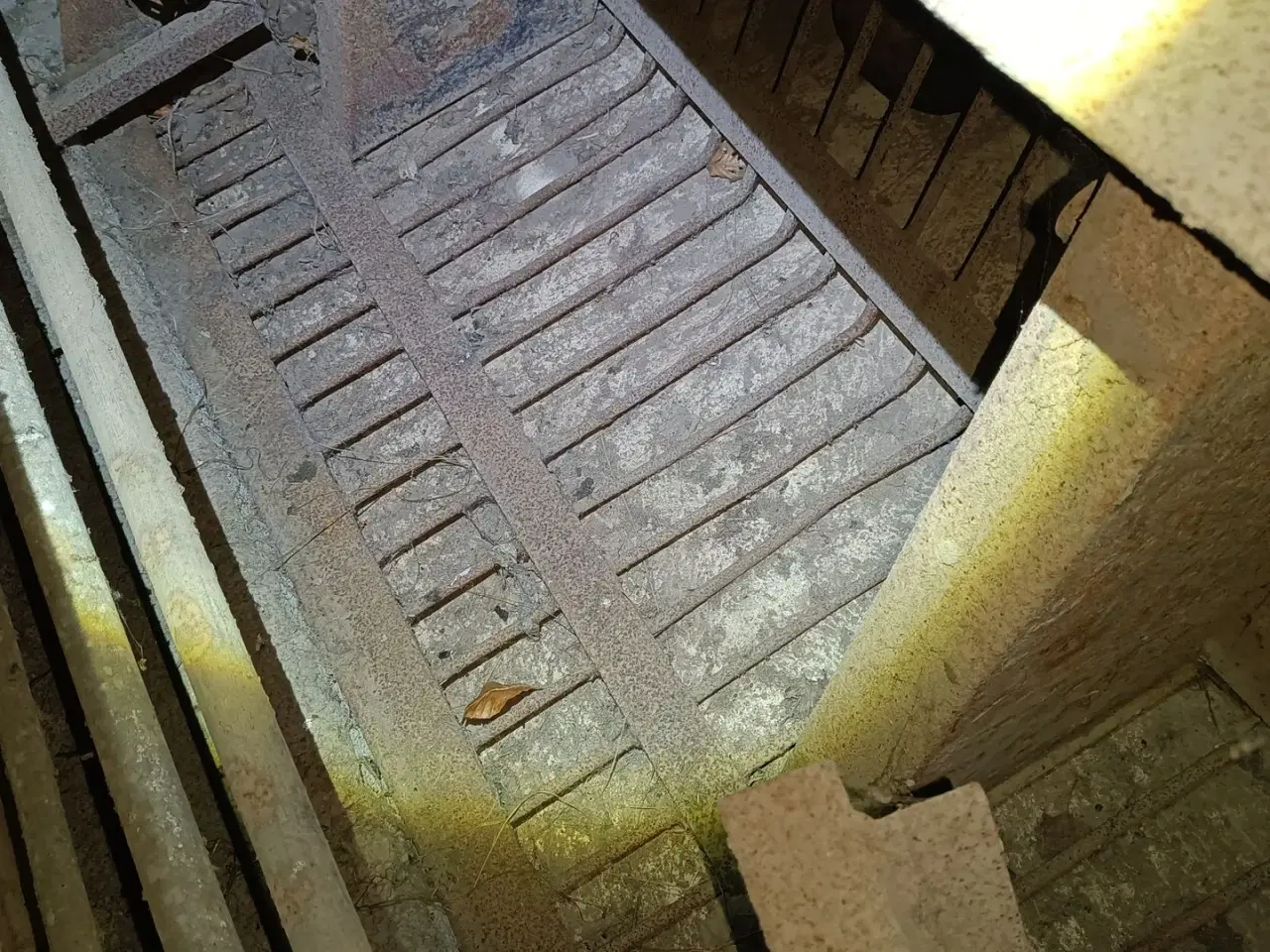 Billede 1 - - - - - - - roeskovl med gyrobeslag