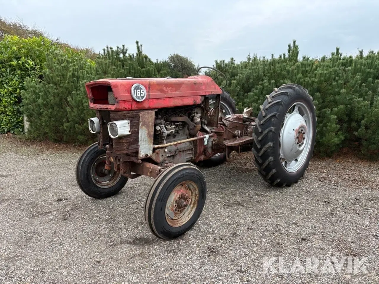 Billede 1 - Traktor Massey Ferguson 165