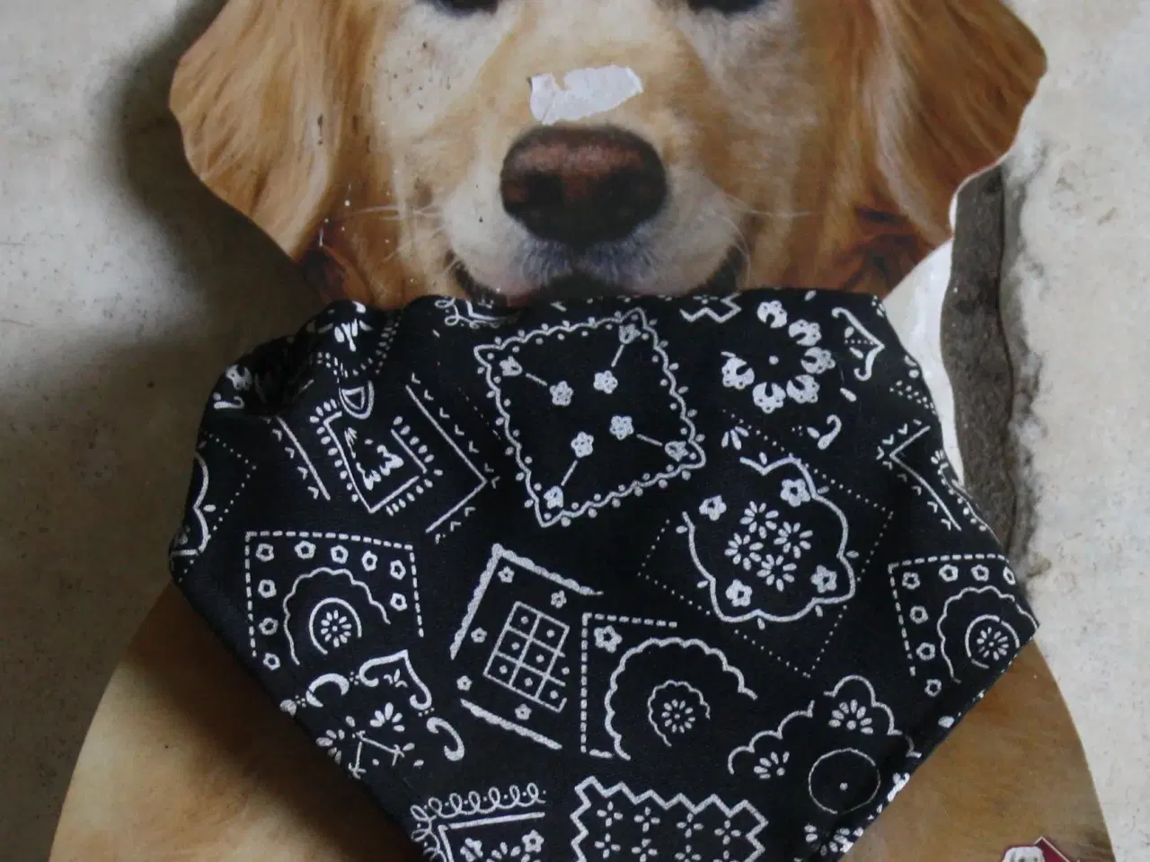 Billede 1 - Hundehalsbånd med tørklæde