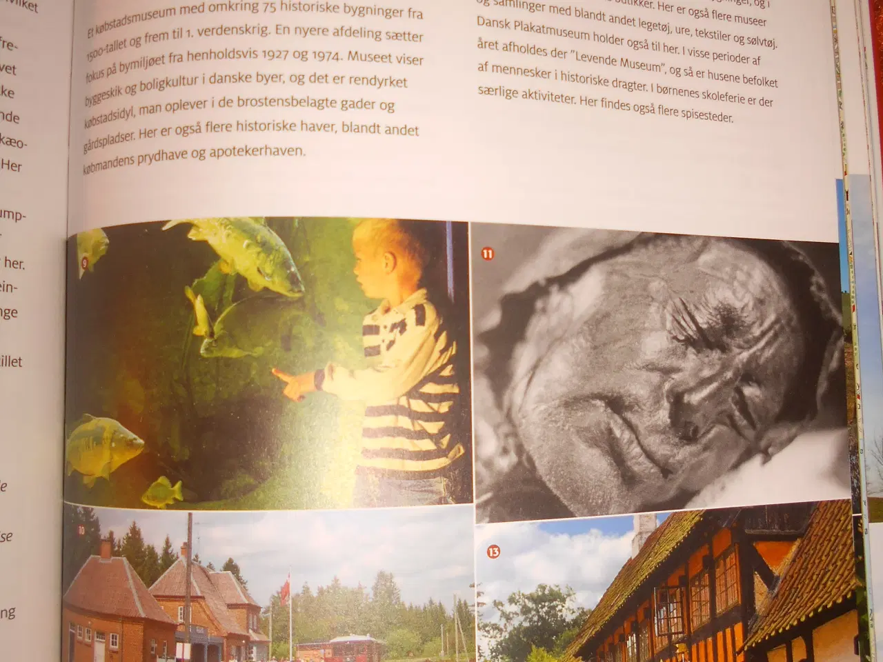 Billede 3 - Danmark dejligst, Søren Olsen