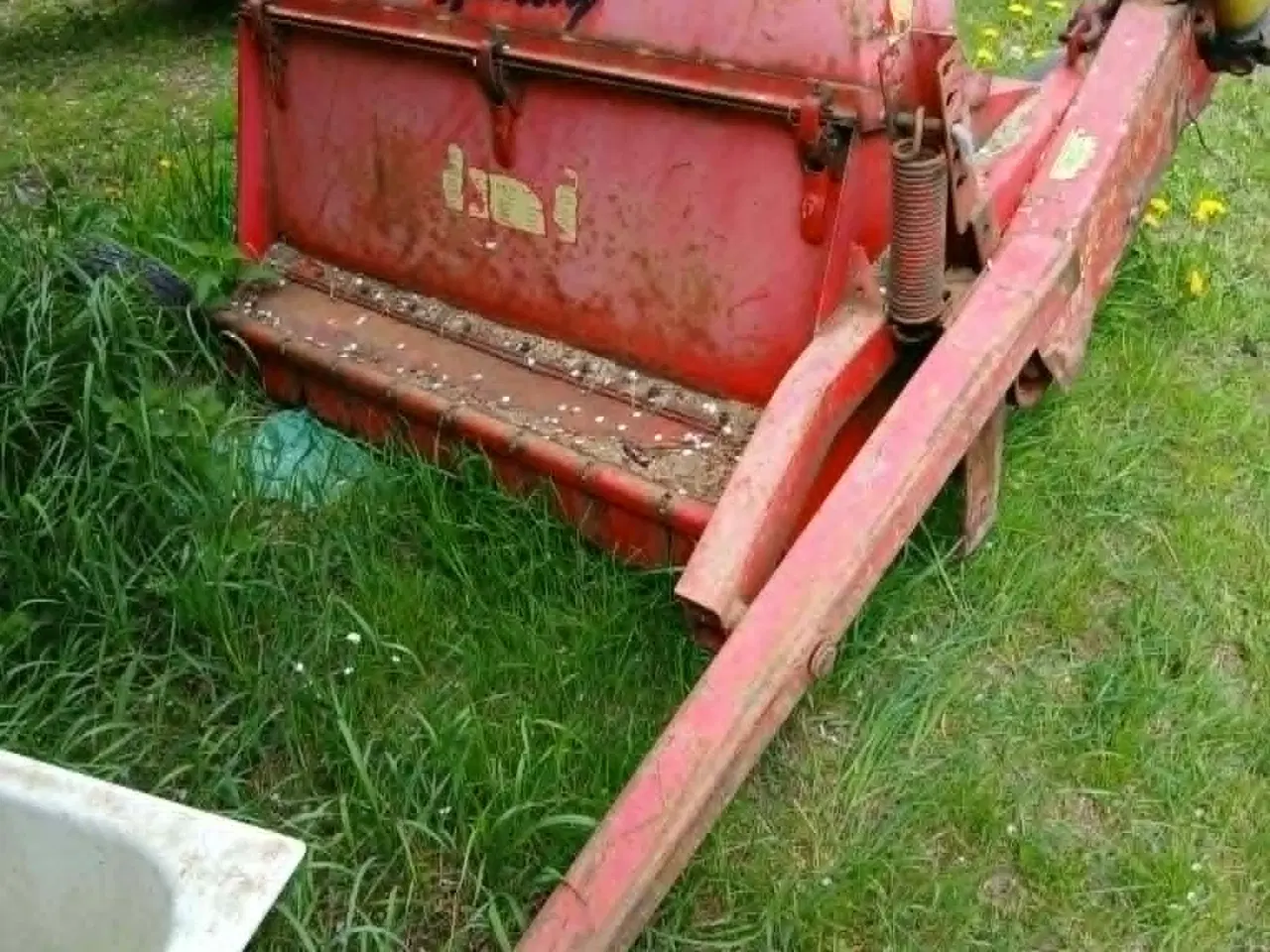 Billede 1 - Grønthøster eller brakpudser