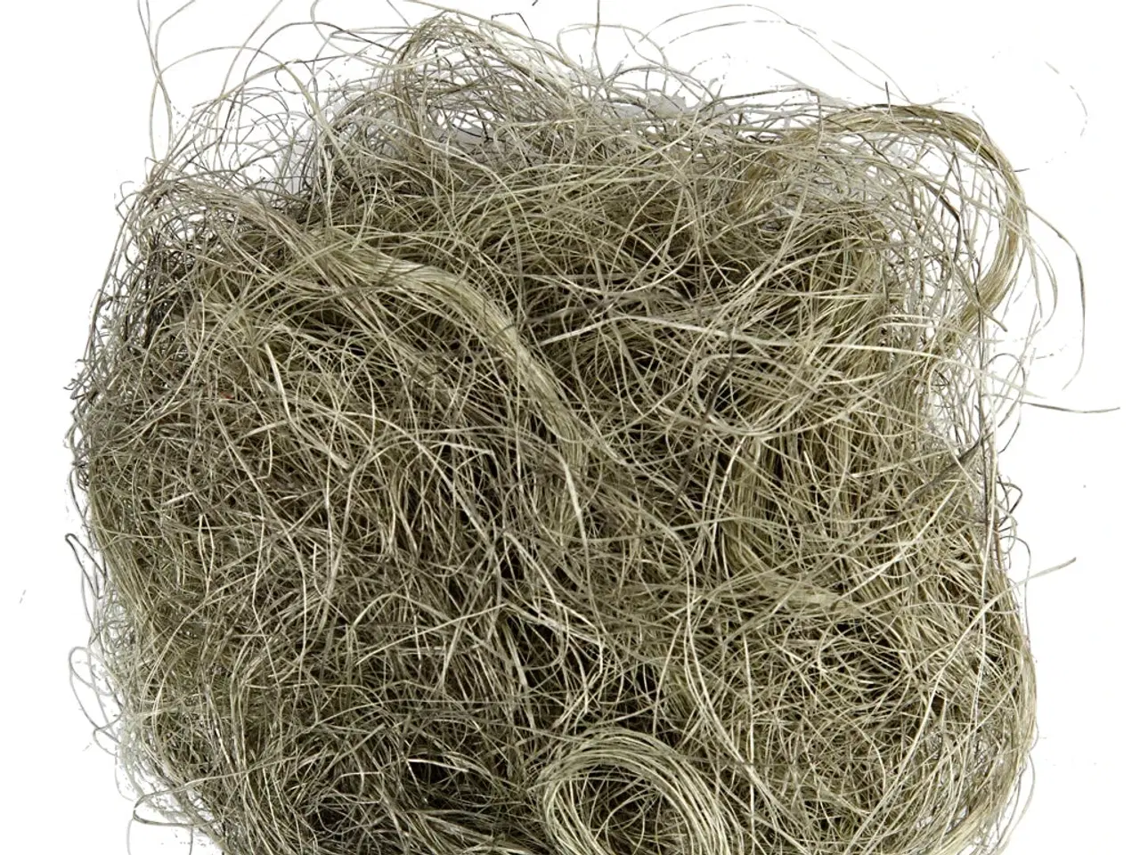Billede 1 - Sisal, støvet grøn, 8g/ 1 pk.