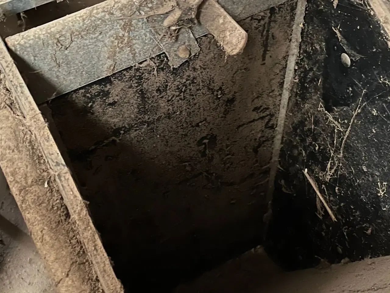 Billede 10 - - - - til kvæg