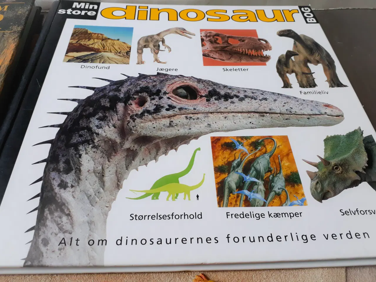 Billede 5 - 2 Dino Bøger, 6 Dinosaur