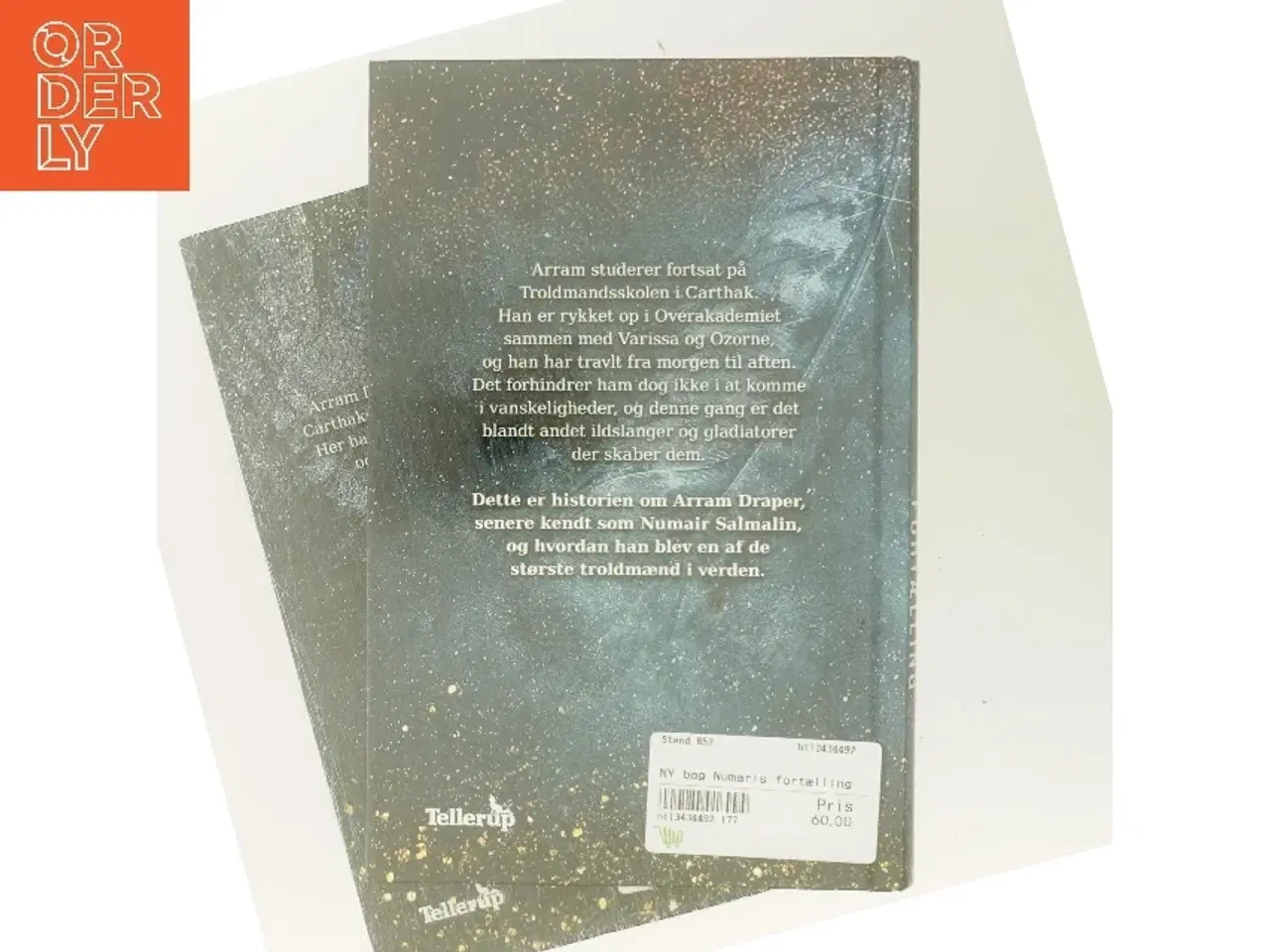 Billede 3 - Numairs Fortælling bind 1 & 2 af Tamora Pierce (Bog)