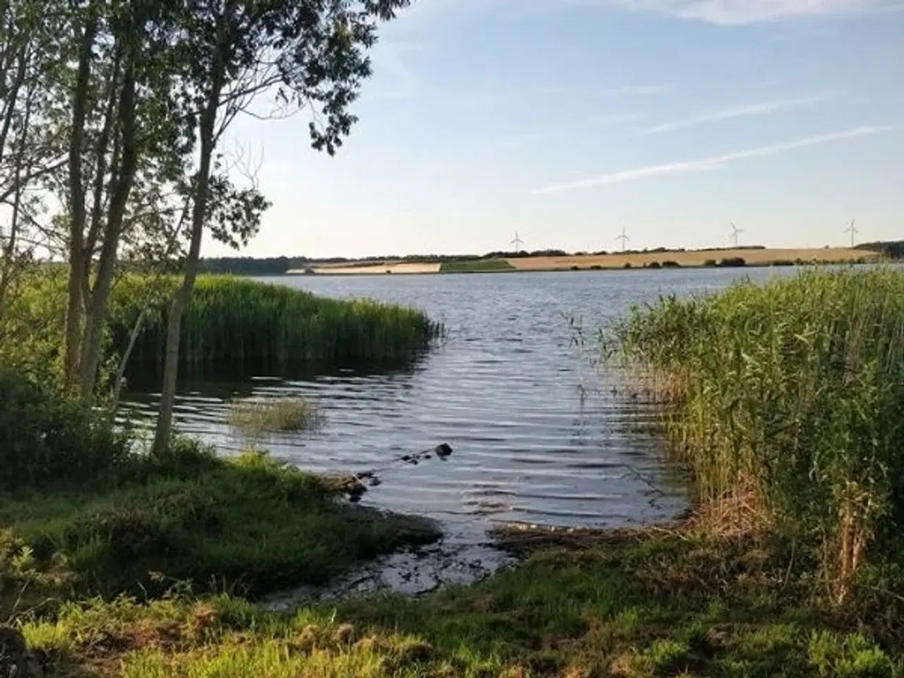 Billede 4 - Sk�n g�rd ved Glenstrup S�