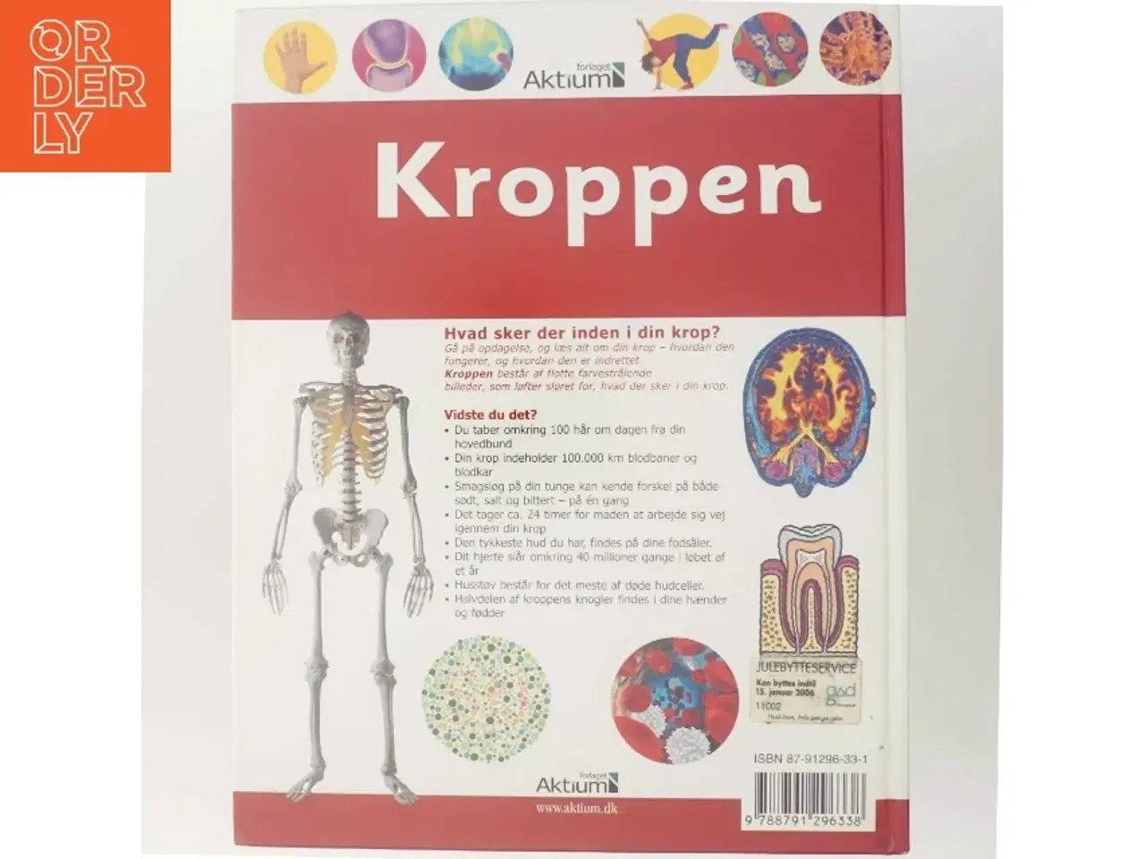 Billede 3 - Kroppen : illustreret leksikon for børn af Penny Smith (Bog)