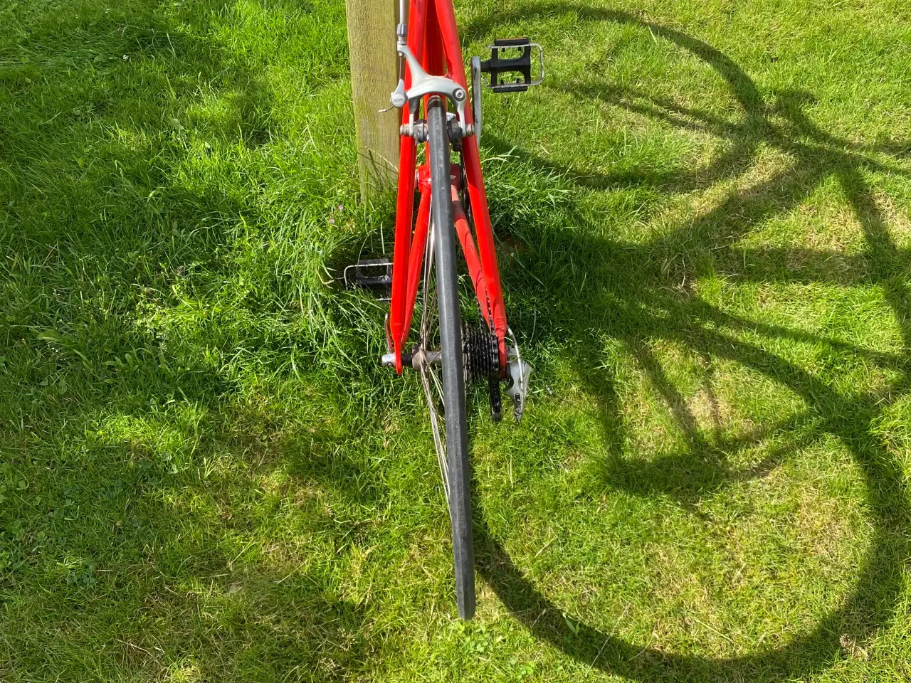 Billede 6 - Bugatti racercykel 53cm