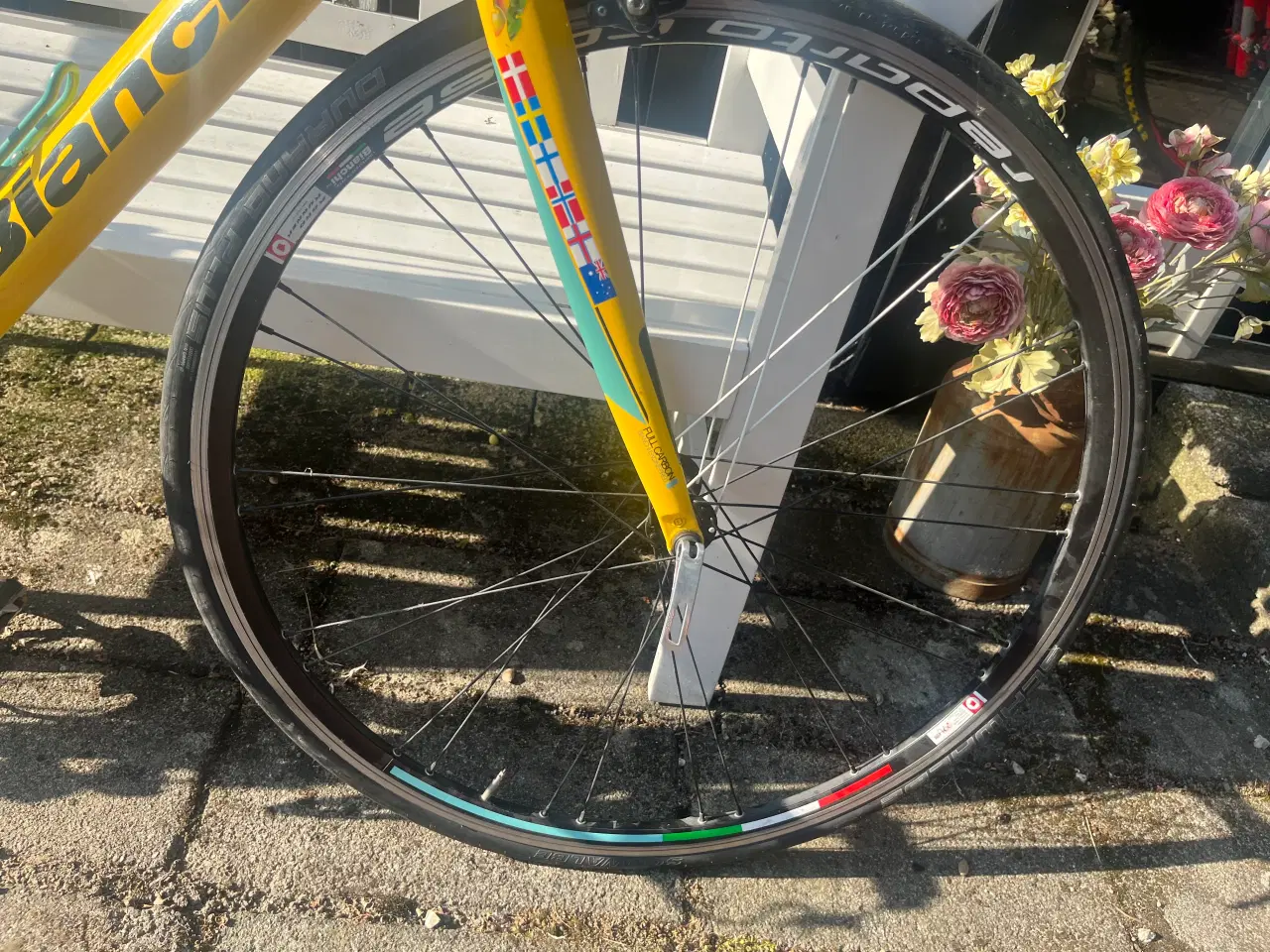Billede 8 - Carbon racer