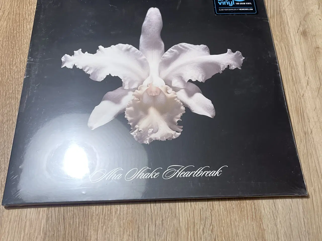 Billede 1 - Kings Of Leon - Aha Shake Heartbreak