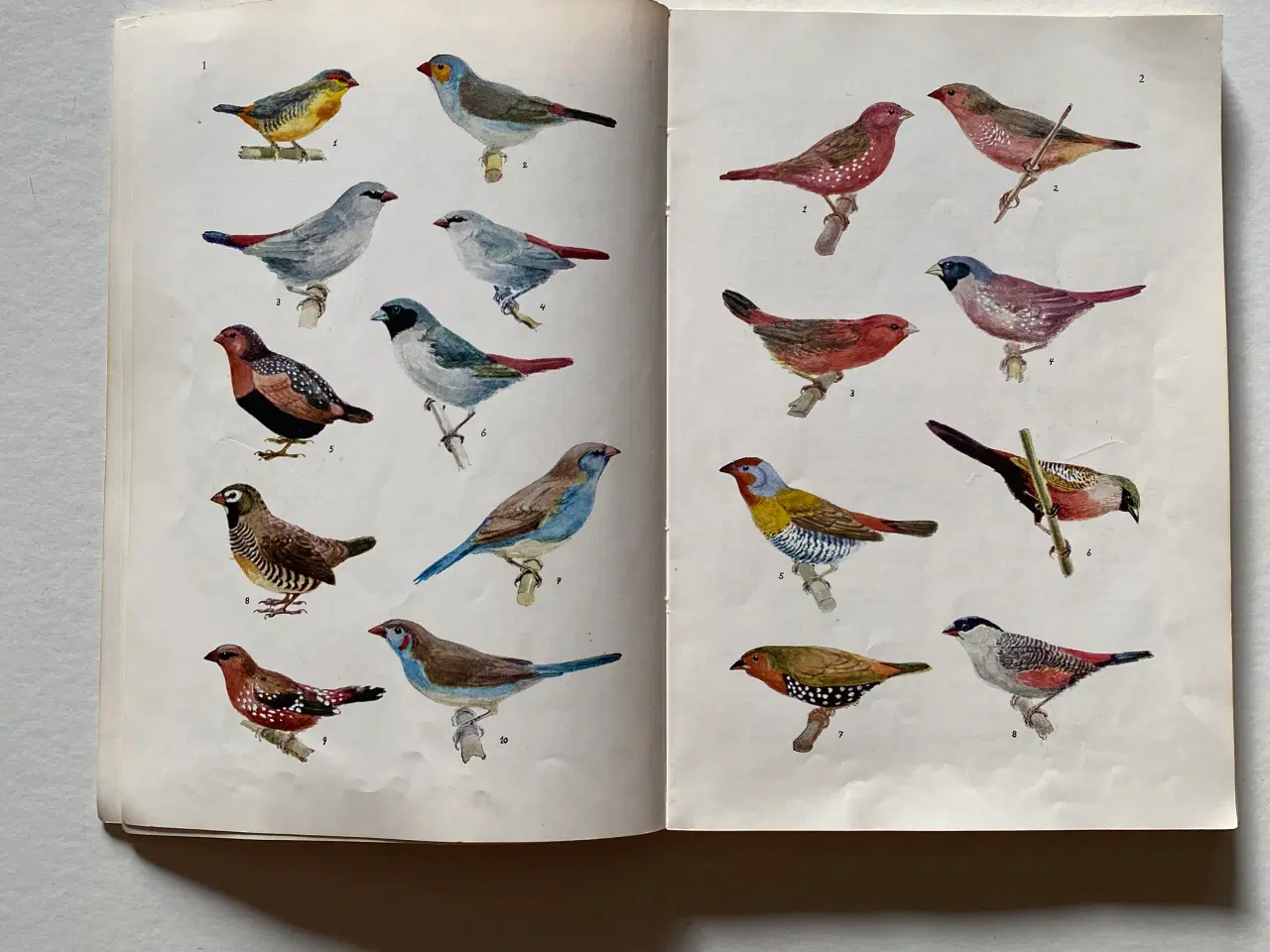 Billede 4 - Fuglebøger 