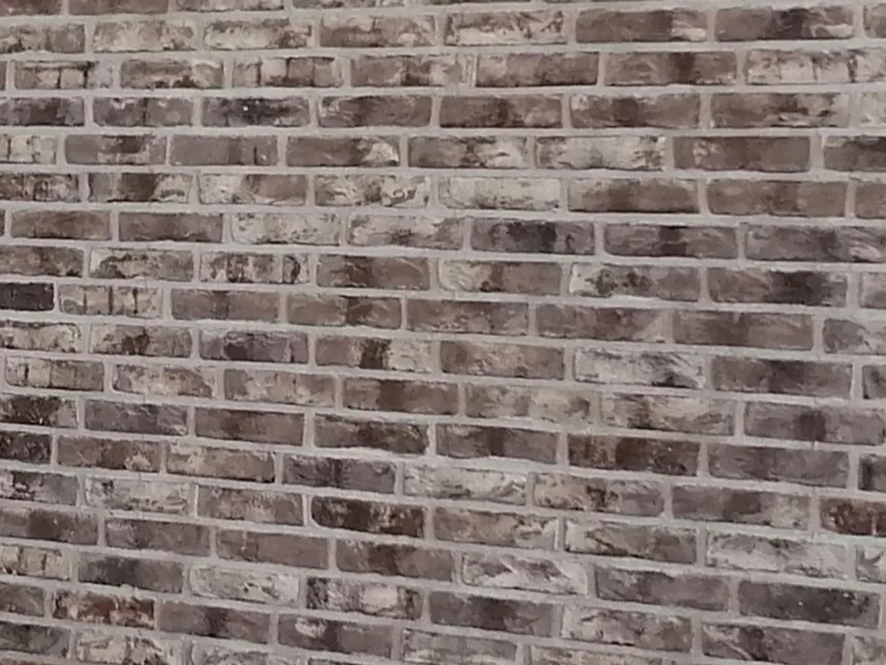 Billede 1 - Murstens skaller 30 mm , til newyorkere væg.  