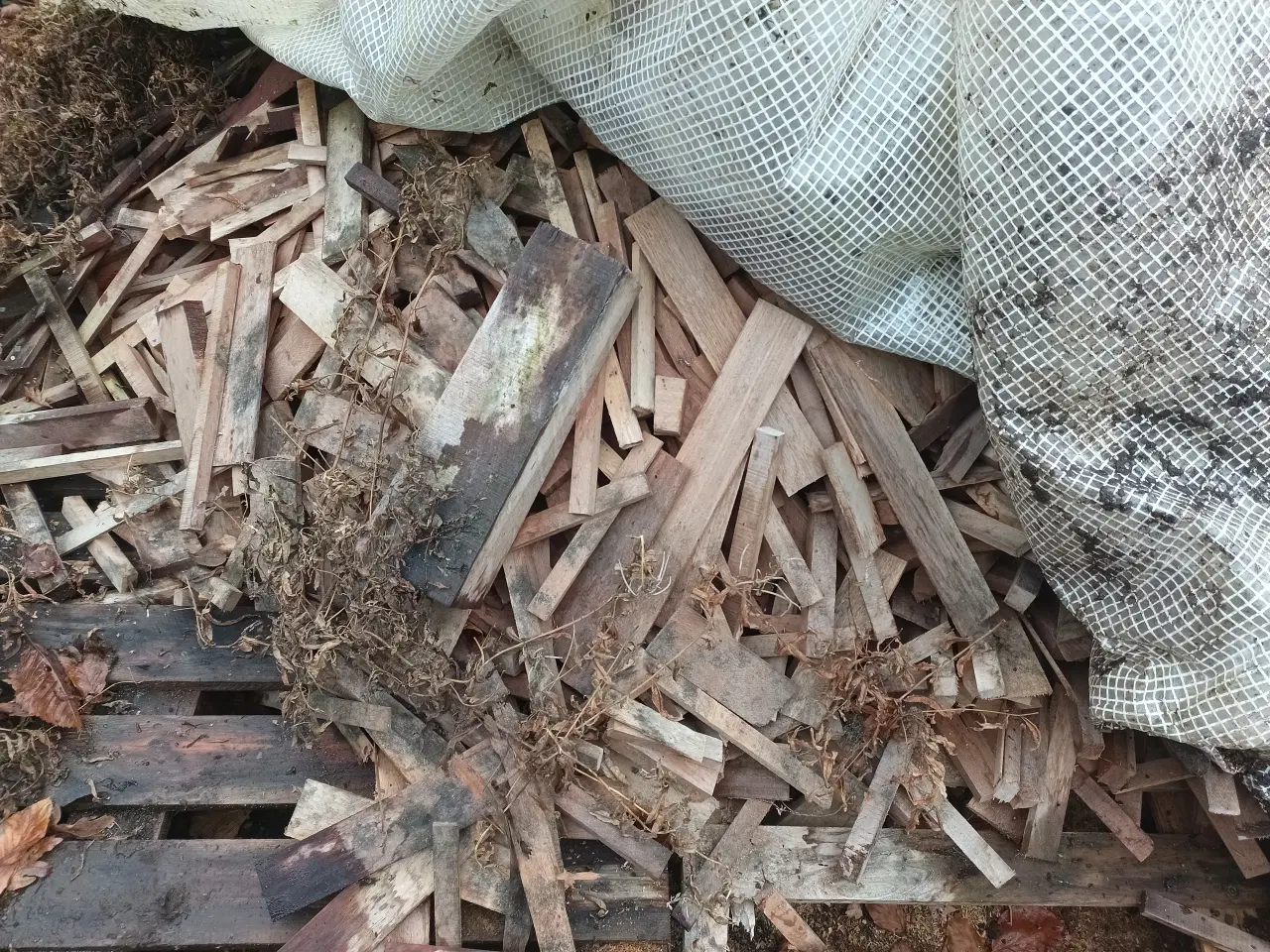 Billede 3 - Billig træ til salg skriv eller ring på nr i beskr