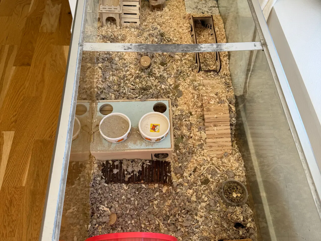 Billede 8 - Dværghamster plus tilbehør sælges