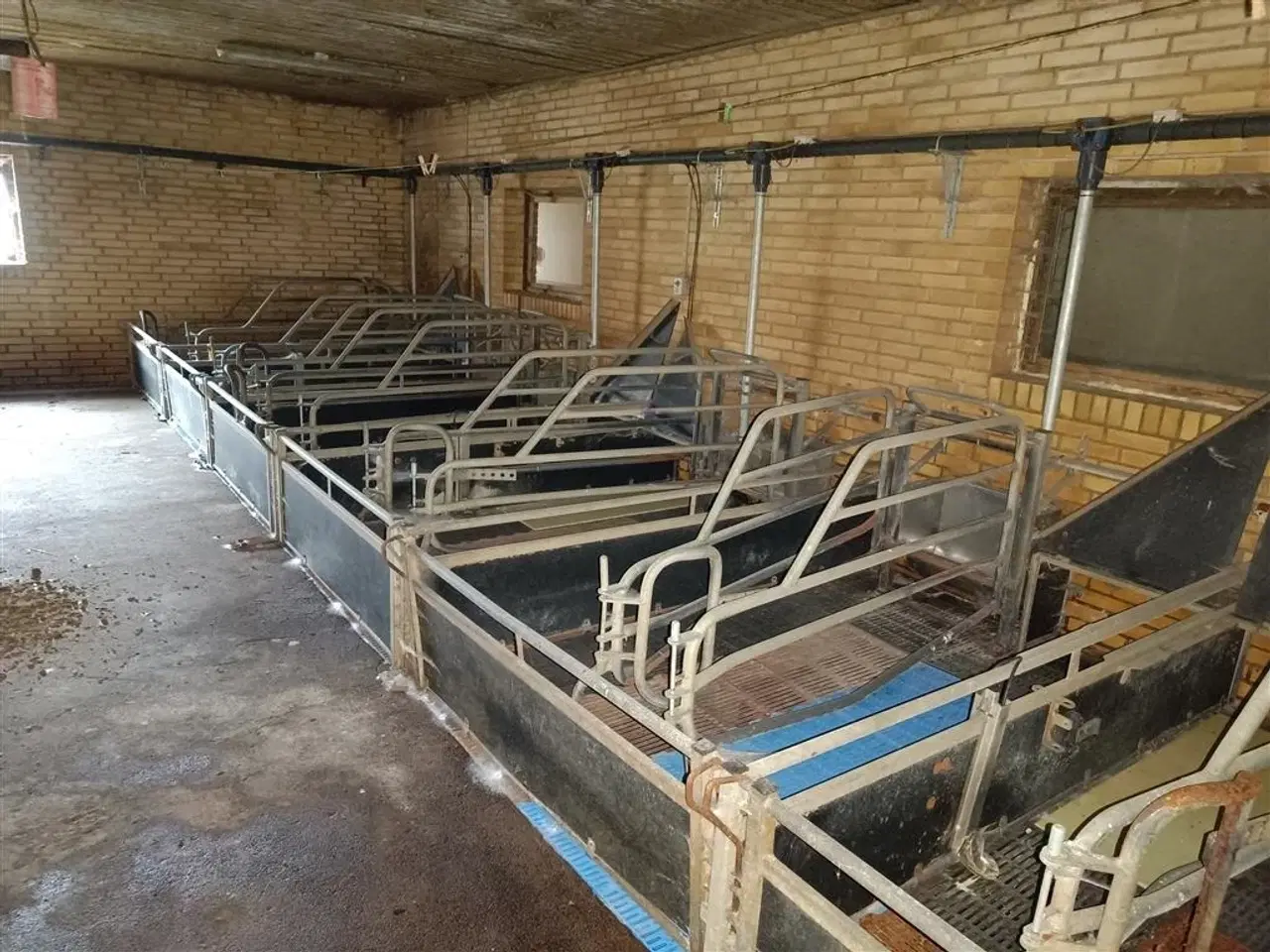 Billede 8 - - - - Sdr Vissing Farestier 36 stk.