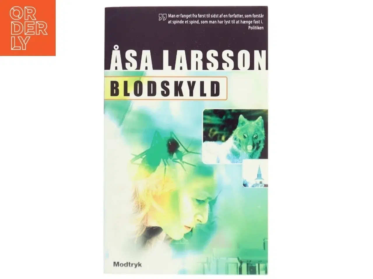 Billede 1 - Blodskyld af Åsa Larsson (Bog)