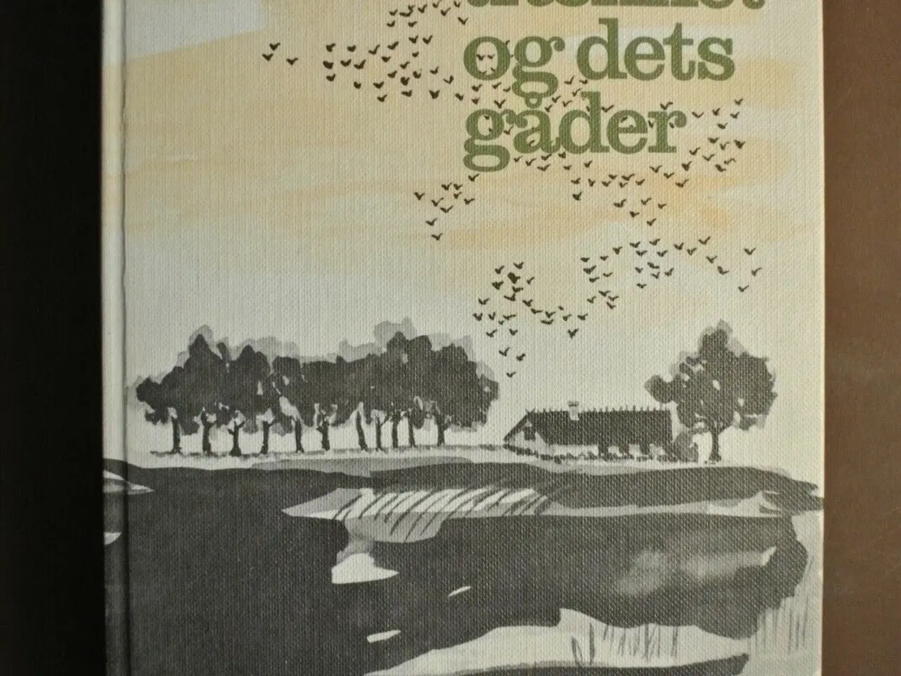 Billede 1 - fugletrækket og dets gåder, af finn salomonsen, em