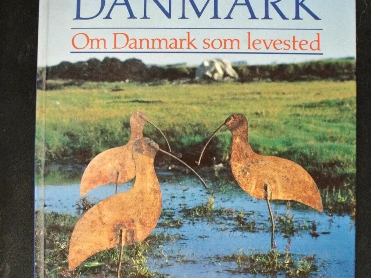 Billede 1 - dyrenes danmark - om danmark som levested, af pede
