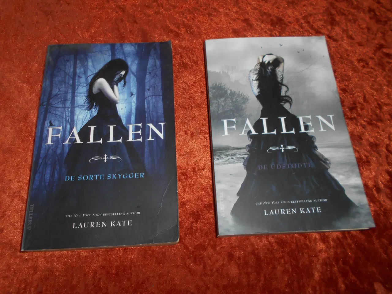 Billede 1 - Fallen, Lauren Kate, 