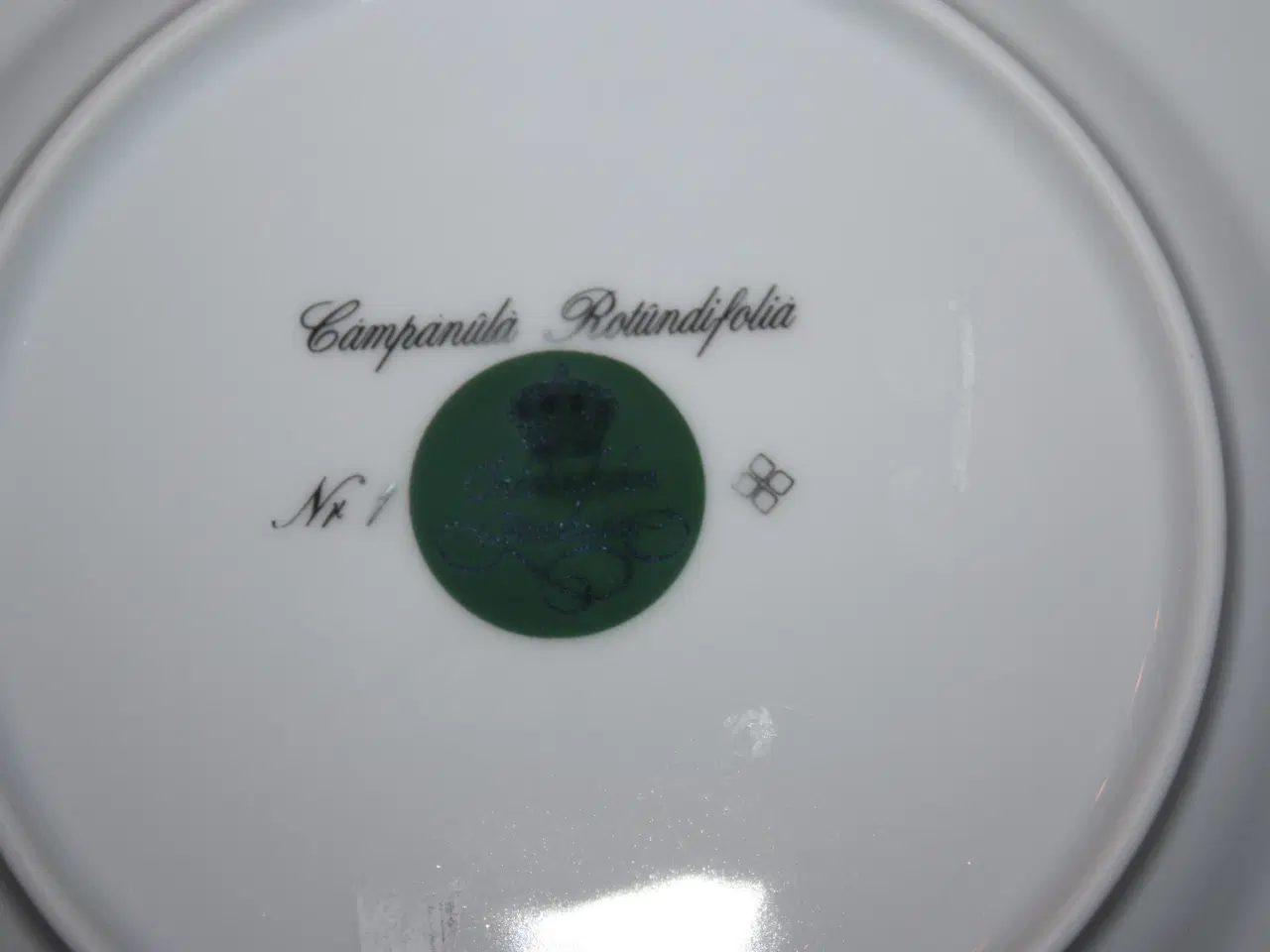 Billede 2 - Christineholm Firkløveren nr. 1 klokkeblomst