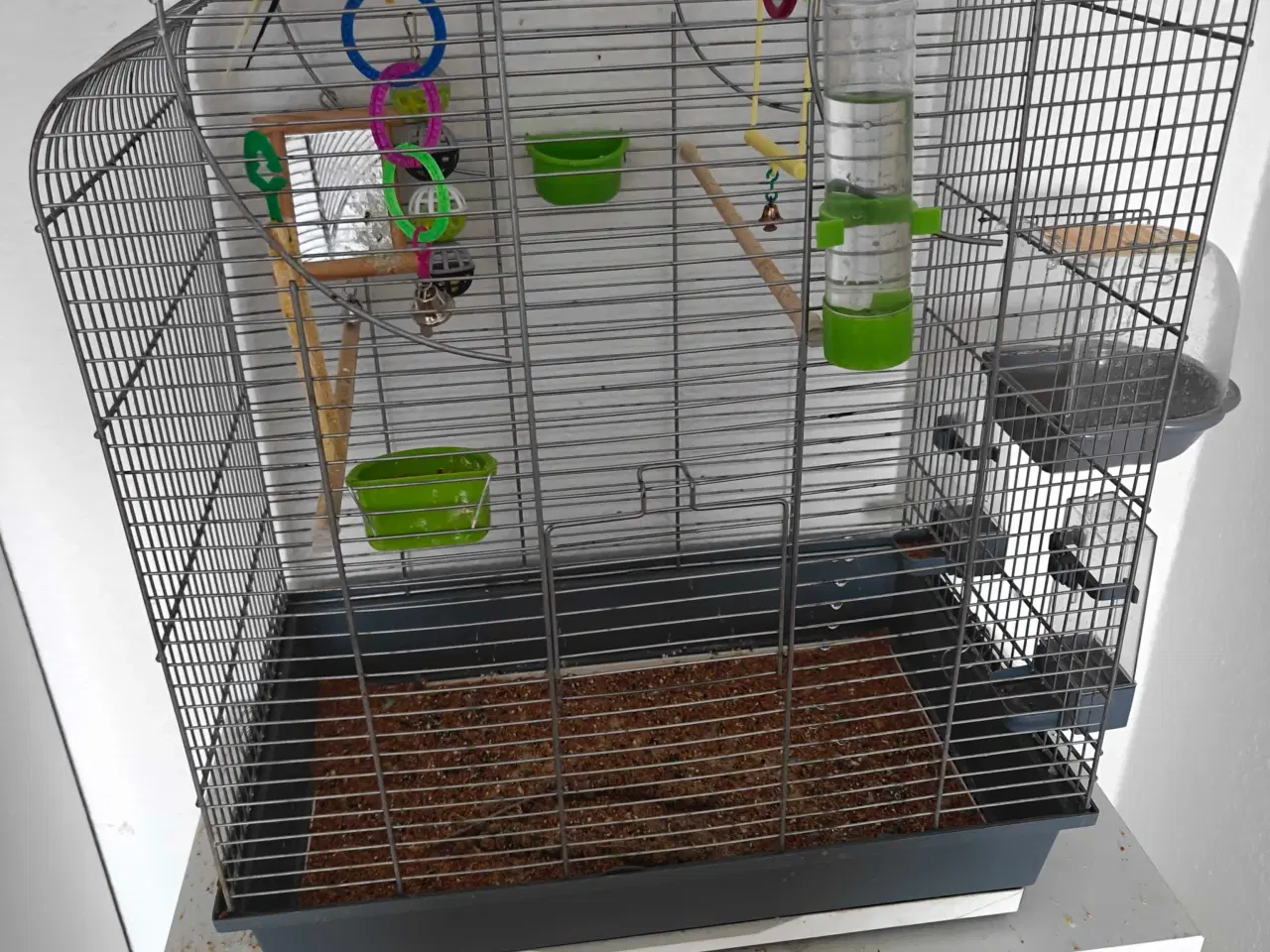 Billede 4 - To søde undulater søger nyt hjem 