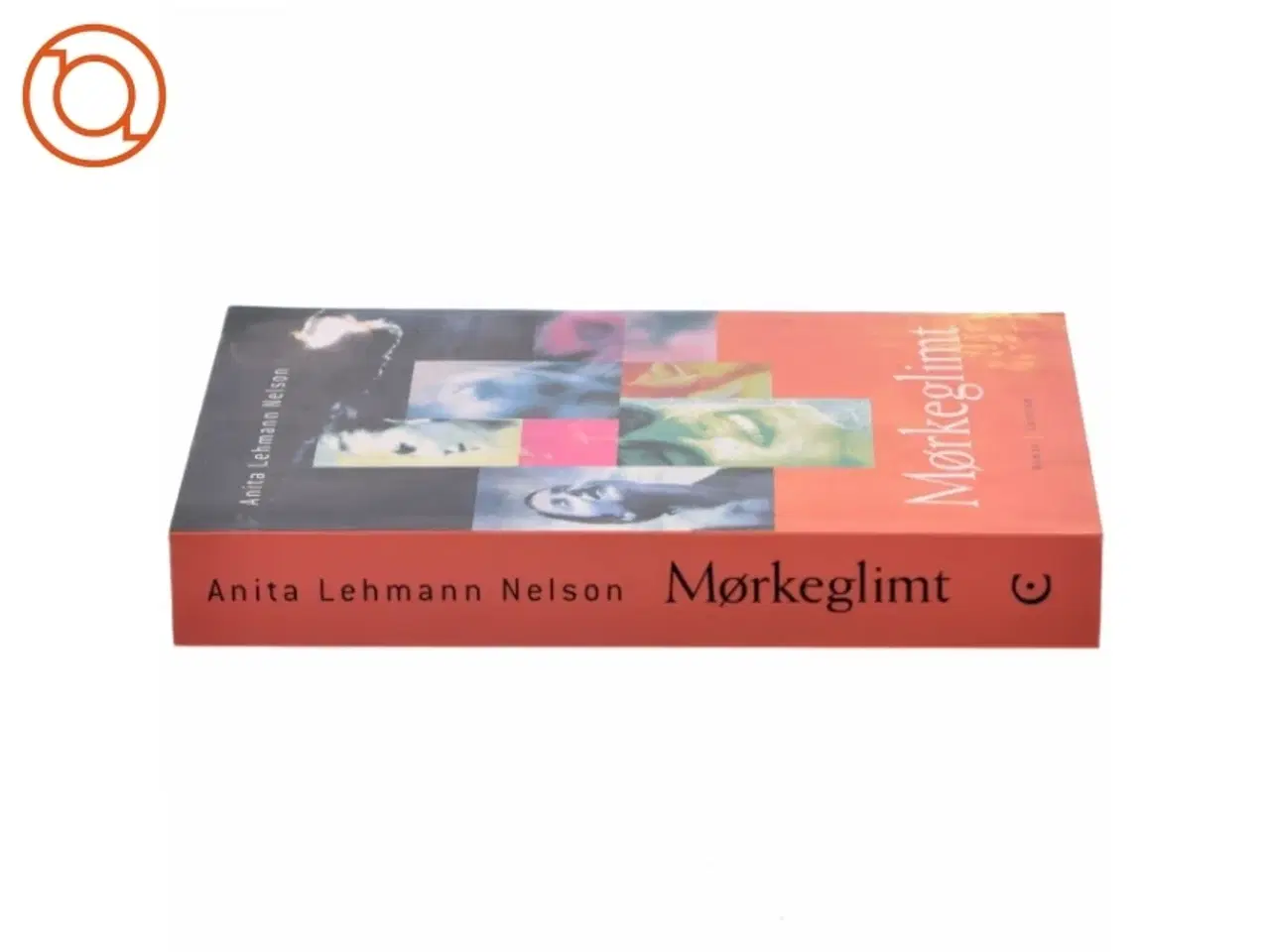 Billede 2 - Mørkeglimt : roman af Anita Lehmann Nelson (Bog)